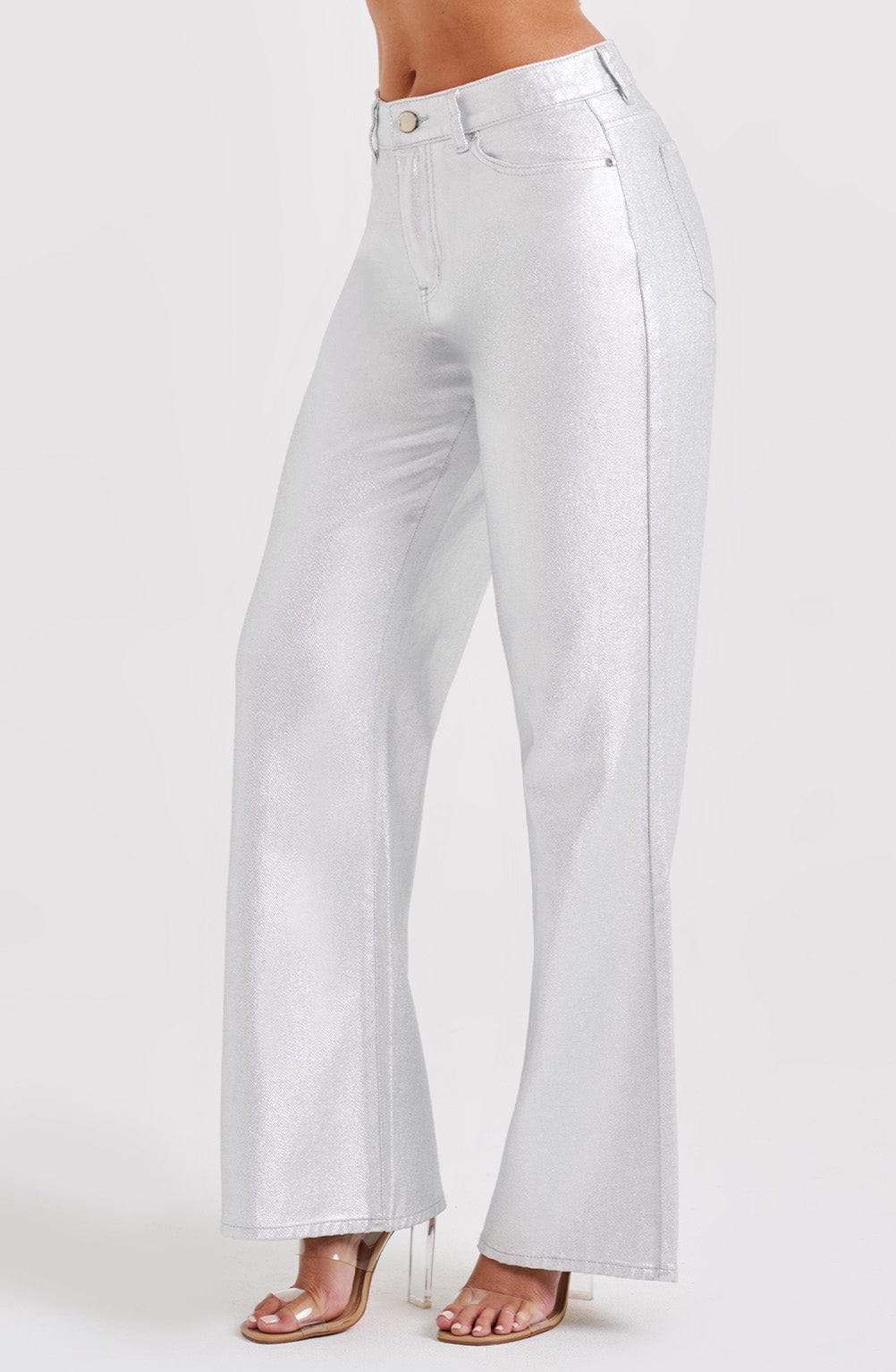 Cassidine Pants in Silver