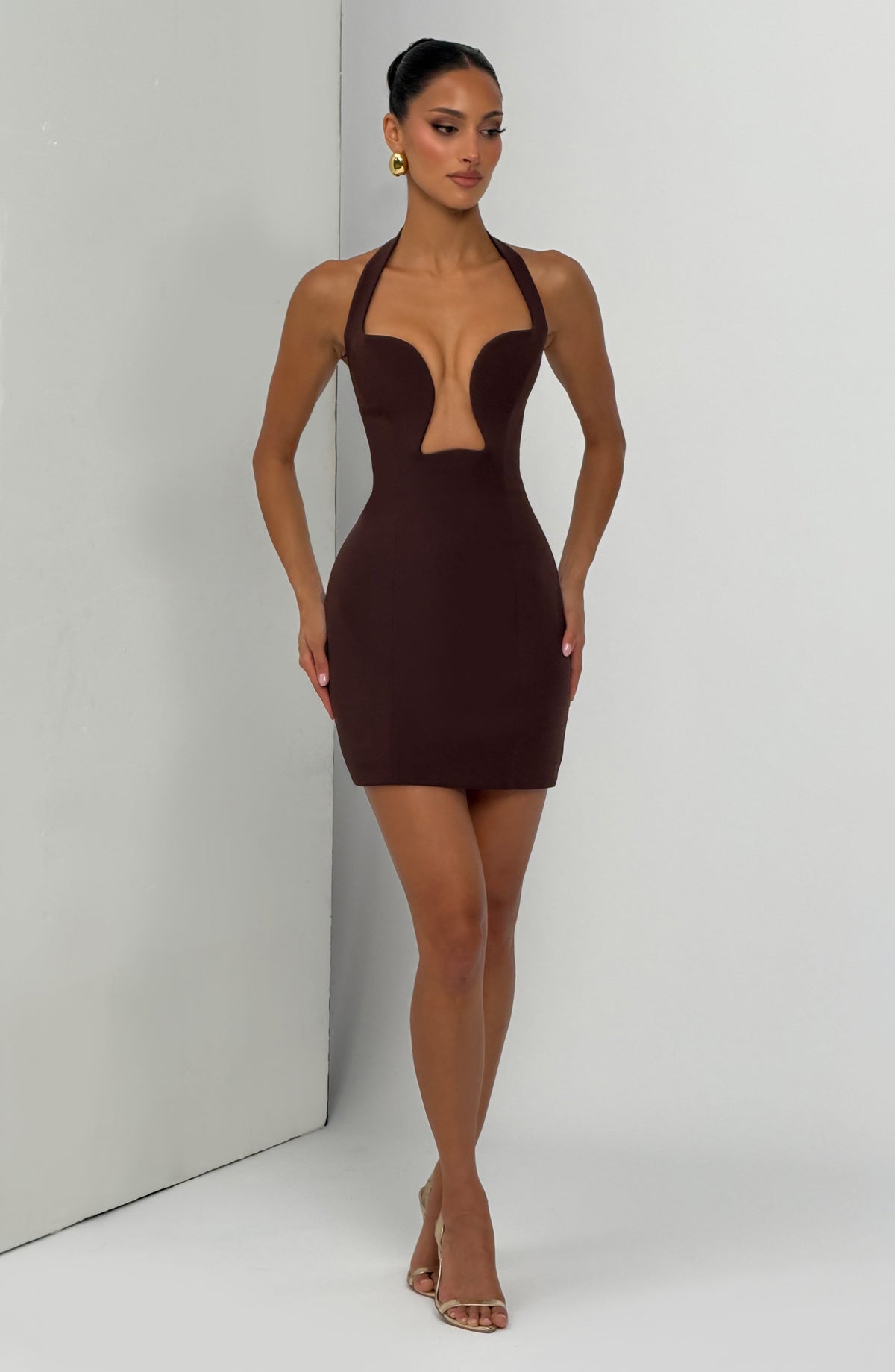 Charlisse Mini Dress in Plum Brown