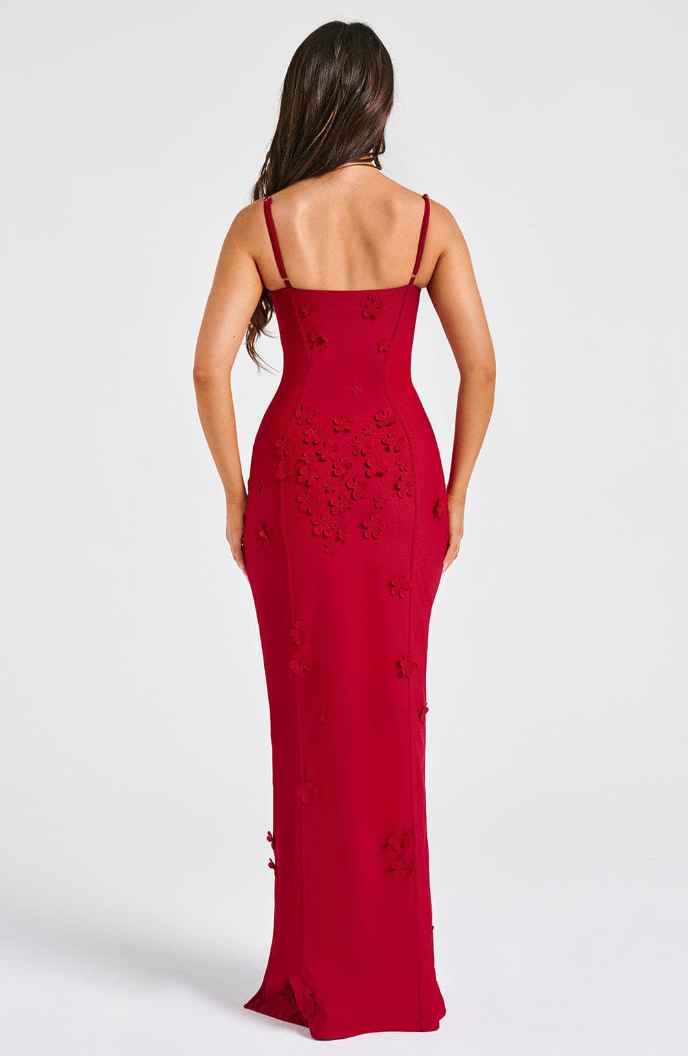 Dalyra Maxi Dress in Red Lined