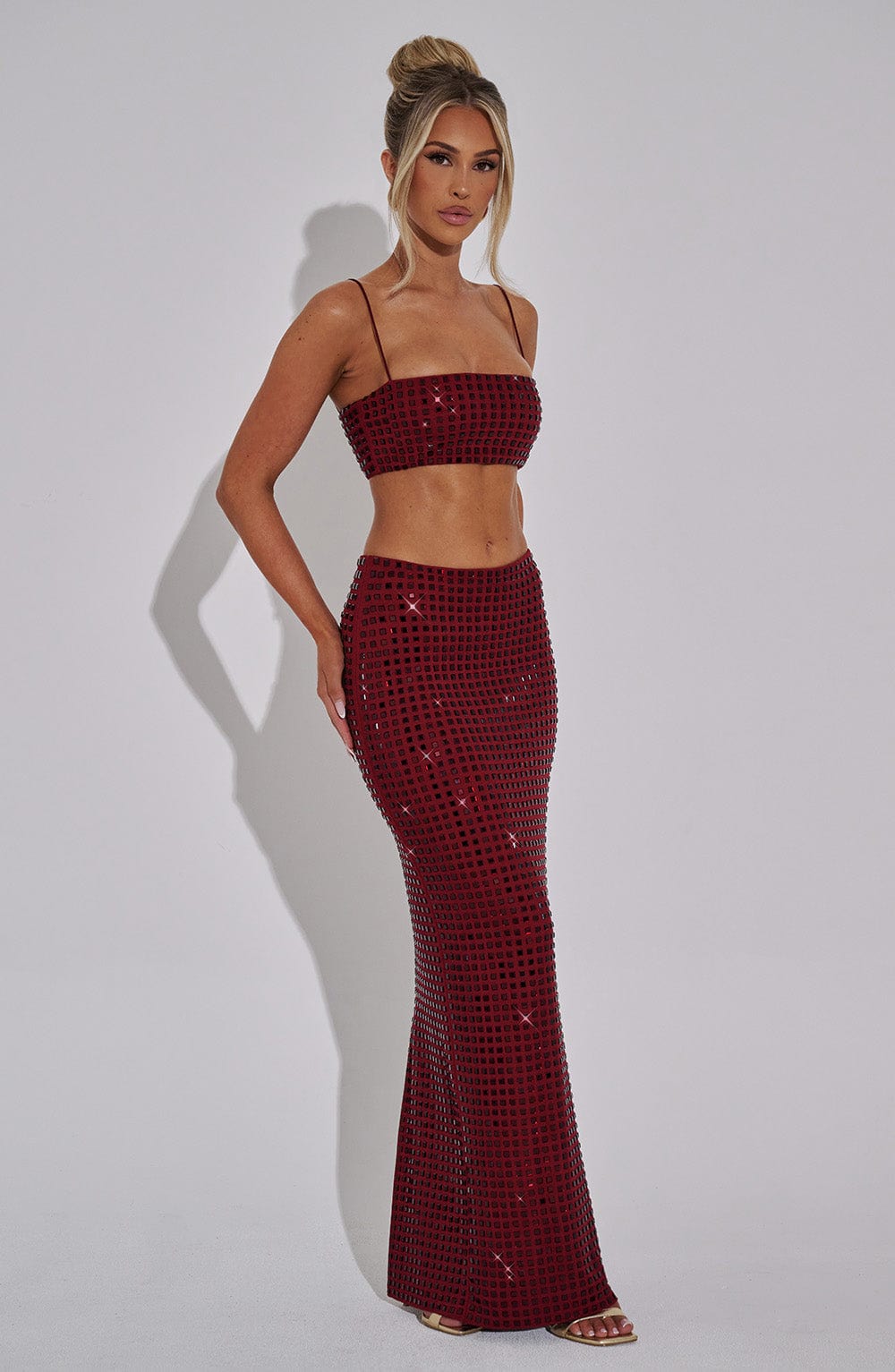 Dimetta Maxi Skirt in Wine