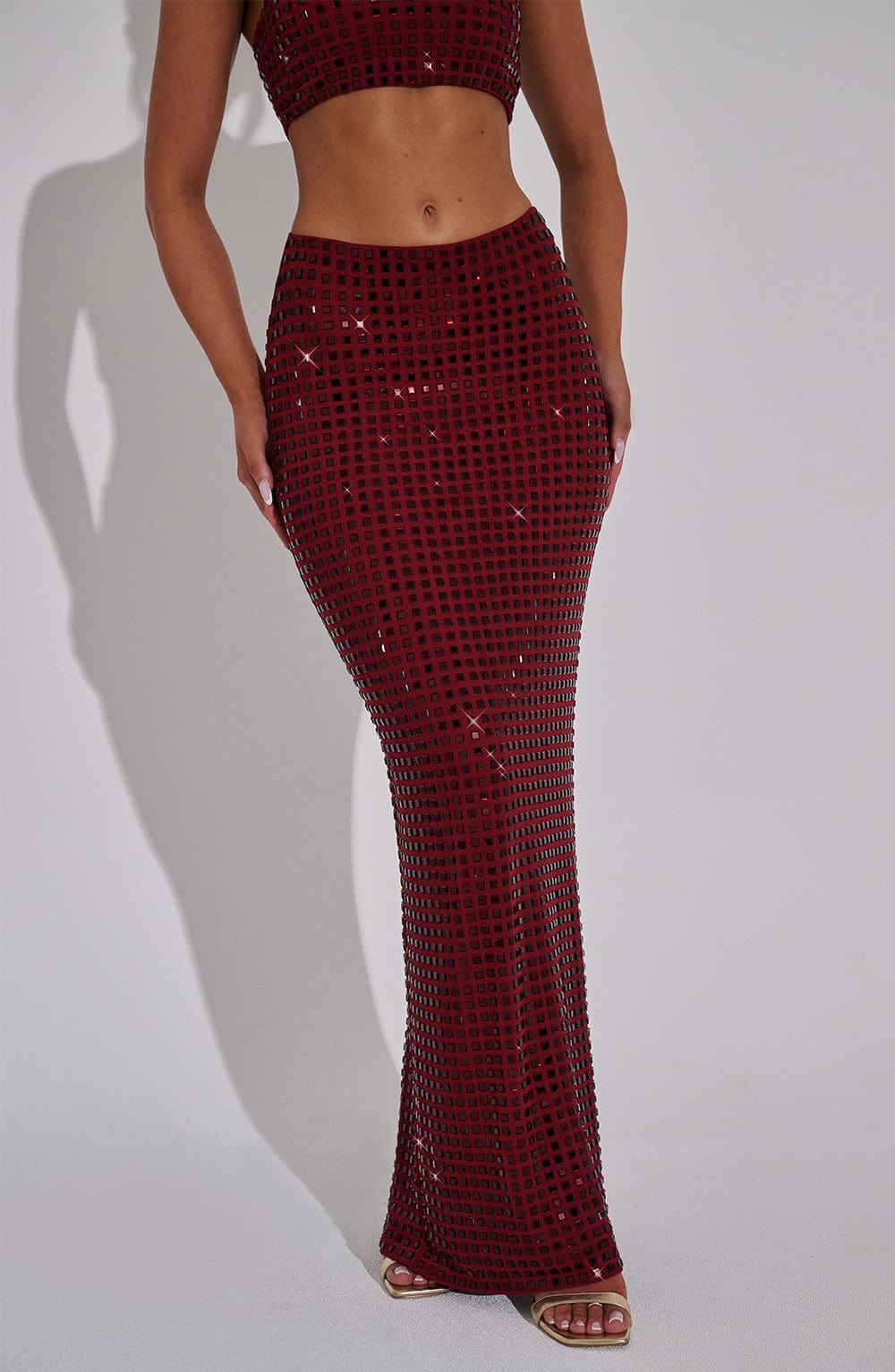 Dimetta Maxi Skirt in Wine
