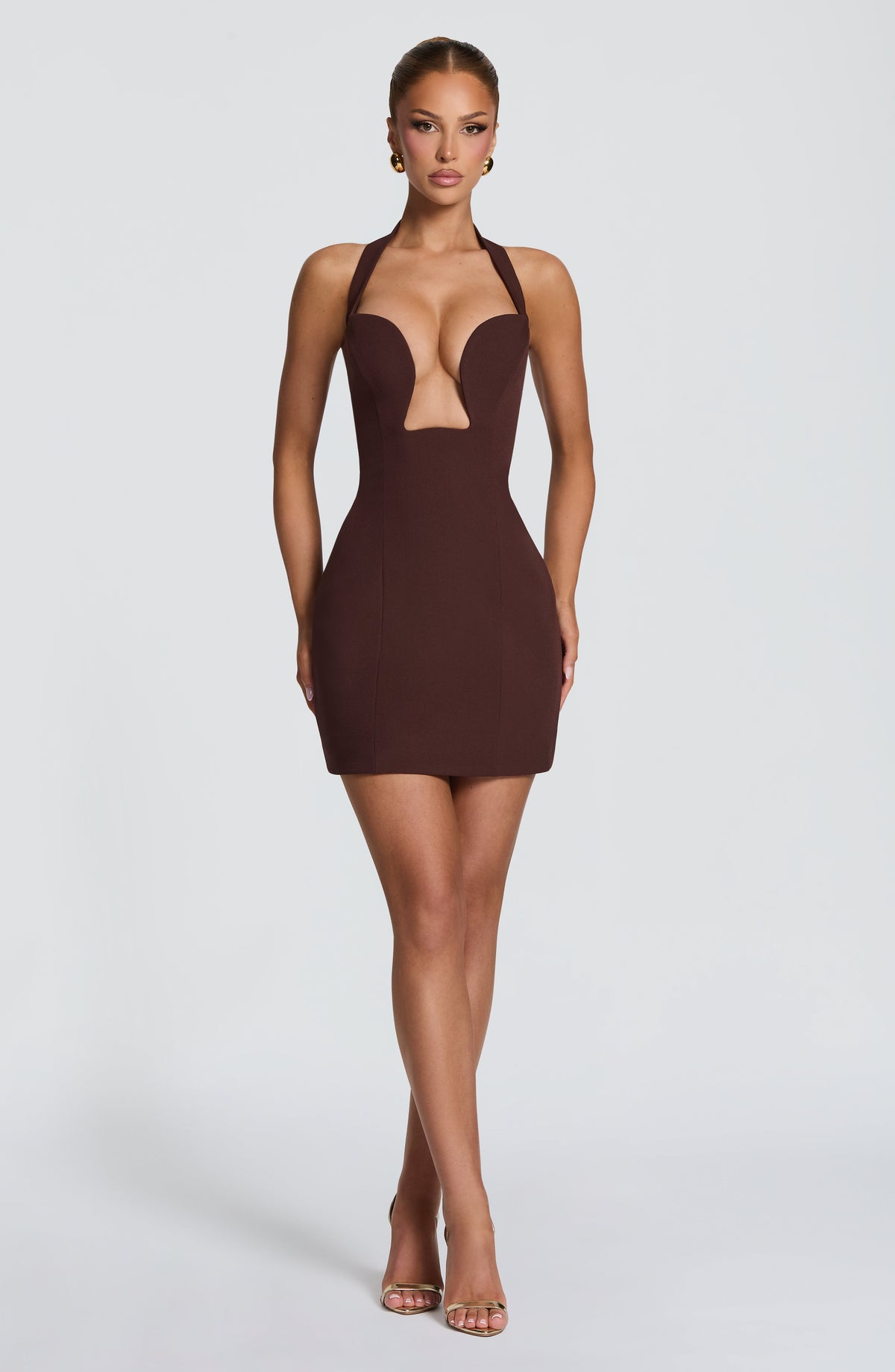Charlisse Mini Dress in Plum Brown