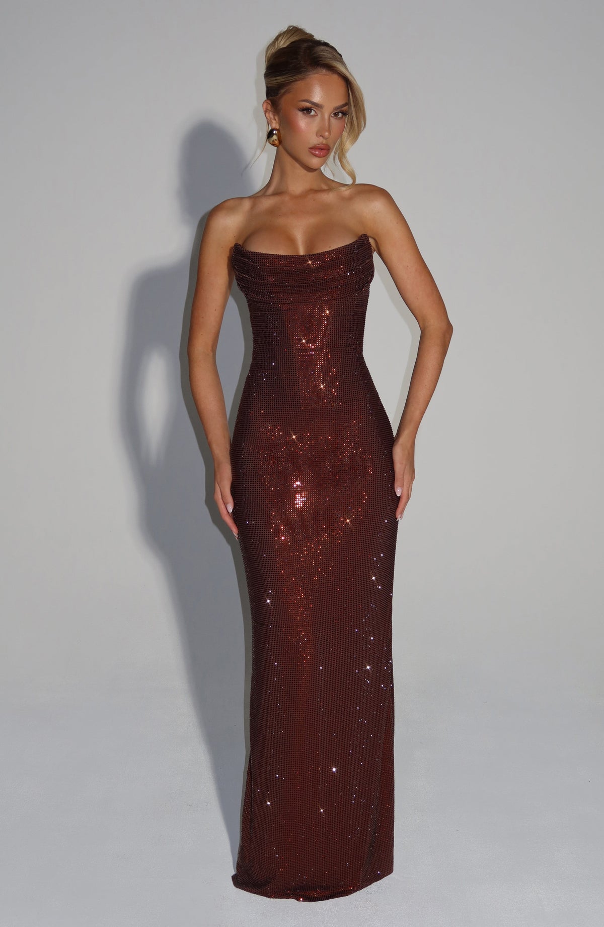 Mirabelle Maxi Dress in Plum Brown